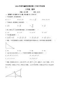 湖南省花垣县华鑫教育集团2023-2024学年八年级下学期月考数学试题（原卷版+解析版）