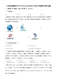 江西省景德镇市乐平市2023-2024学年九年级下学期期中数学试题（原卷版+解析版）