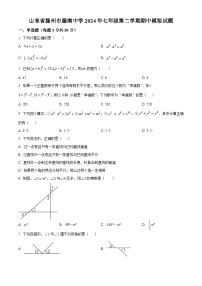 山东省枣庄市滕州市滕南中学2023-2024学年七年级下学期数学期中模拟试题（原卷版+解析版）