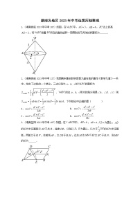 湖南各地区2023年中考数学选填压轴整理（含答案）