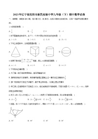 辽宁省沈阳市新民实验中学2023-2024学年九年级下学期期中数学试卷