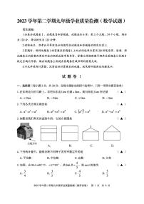 2024年浙江省宁波市江北区中考一模考试数学试卷