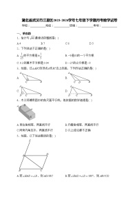 湖北省武汉市江夏区2023-2024学年七年级下学期月考数学试卷(含答案)