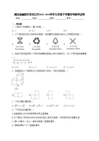 湖北省襄阳市老河口市2023-2024学年九年级下学期月考数学试卷(含答案)