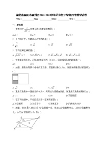 湖北省襄阳市襄州区2023-2024学年八年级下学期月考数学试卷(含答案)