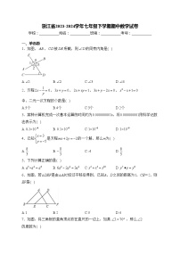 浙江省2023-2024学年七年级下学期期中数学试卷(含答案)