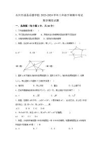 湖南省永州市道县绍基学校2023-2024学年八年级下期期中考试数学模拟试题