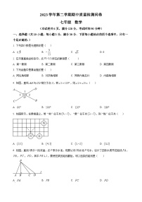 广东省广州市增城区2023-2024学年七年级下学期期中数学试题（原卷版+解析版）