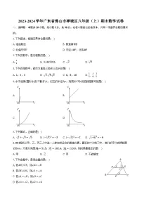 2023-2024学年广东省佛山市禅城区八年级(上)期末数学试卷(含解析)