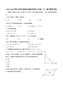 2023-2024学年天津市东丽区华新共同体八年级（下）期中数学试卷（含解析）