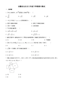安徽省安庆市2021-2022学年八年级下学期期中测试数学试卷(含答案)