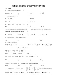 安徽省合肥市瑶海区2021-2022学年七年级下学期期中数学试题(含答案)