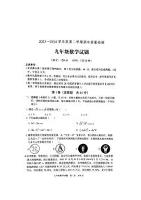 山东省泰安市宁阳县2023-2024学年九年级下学期期中考试数学试题