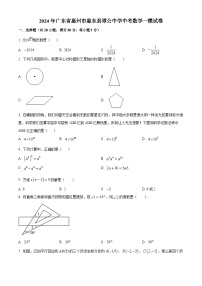 2024年广东省惠州市惠东县谭公中学中考一模数学试题（原卷版+解析版）