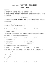 河南省信阳市商城县李集中学2023-2024学年七年级下学期期中数学试题（原卷版+解析版）