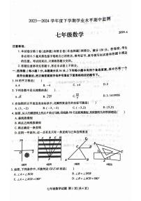 山东省临沂市罗庄区2023-2024学年七年级下学期4月期中考试数学试题