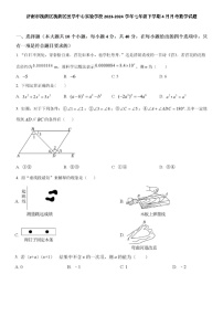 2024.4月济南市槐荫区槐荫区医学中心实验学校七年级下学期4月月考数学试题（含答案）