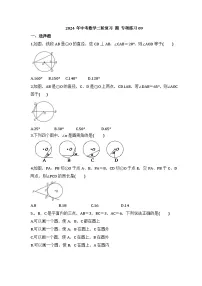 2024年中考数学二轮复习 圆 专项练习09（含答案）