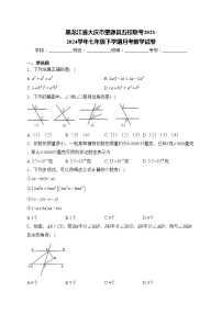 黑龙江省大庆市肇源县五校联考2023-2024学年七年级下学期月考数学试卷(含答案)