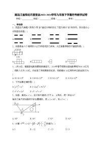 黑龙江省绥化市望奎县2023-2024学年九年级下学期月考数学试卷(含答案)