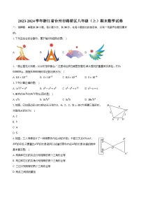 2023-2024学年浙江省台州市路桥区八年级（上）期末数学试卷（含解析）