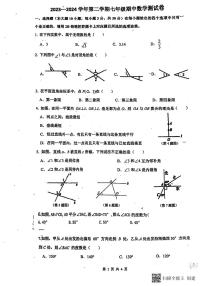 广东省惠州市惠城区德威学校2023-2024学年下学期七年级期中数学测试卷