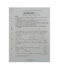 山东省菏泽市成武县2023-2024学年九年级下学期4月期中考试数学试题