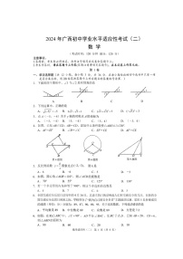 2024年广西壮族自治区百色市田阳区中考一模数学试题