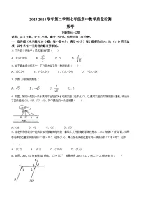 安徽省芜湖市无为市部分学校2023-2024学年七年级下学期期中数学试题