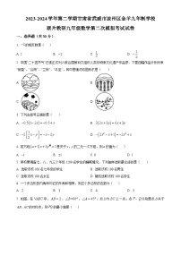 2024年甘肃省武威市凉州区金羊九年制学校联片教研中考二模数学试题（原卷版+解析版）