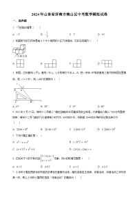 2024年山东省济南市南山区九年级中考数学模拟试题（原卷版+解析版）