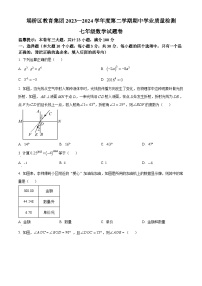 安徽省宿州市埇桥区教育集团2023-2024学年七年级下学期期中数学试题（原卷版+解析版）