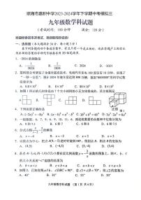 2024年海南省琼海市嘉积中学中考三模数学试题