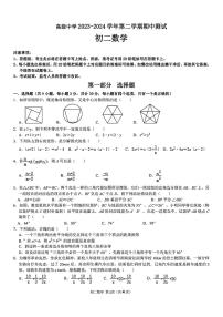 广东省深圳市深圳高级中学2023-2024学年下学期期中测试八年级数学试题