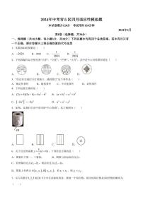 2024年湖北省武汉市青山区中考一模数学试题