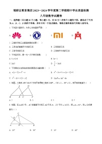 安徽省宿州市埇桥区2023-2024学年八年级下学期期中数学试题（原卷版+解析版）