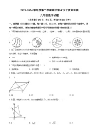 江苏省连云港市灌南县2023-2024学年八年级下学期期中数学试题（原卷版+解析版）