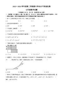 江苏省连云港市灌南县2023-2024学年七年级下学期期中数学试题（原卷版+解析版）