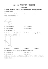 河南省驻马店市确山县2023-2024学年七年级下学期期中数学试题（原卷版+解析版）