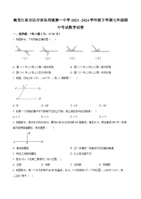 黑龙江省绥化市安达市吉星岗镇第一中学2023-2024学年七年级下学期期中数学试题（原卷版+解析版）