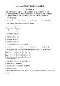 江西省九江市修水县2023-2024学年七年级下学期期中数学试题（原卷版+解析版）