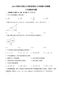 广东省惠州市第五中学教育集团2023-2024学年八年级下学期期中数学试题（原卷版+解析版）