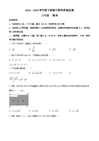 河南省信阳市商城县李集中学2023-2024学年八年级下学期期中数学试题（原卷版+解析版）