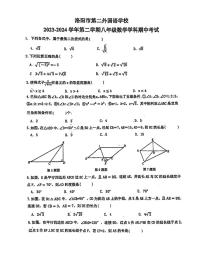 河南省洛阳市第二外国语学校2023-2024学年八年级下学期期中考试数学试卷