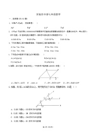 广东省+深圳市+福田区深圳实验学校中学部2023+—+2024学年+七年级下学期数学期中测试