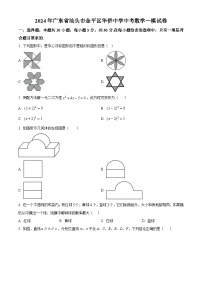 2024年广东省汕头市金平区华侨中学中考一模数学试题（原卷版+解析版）