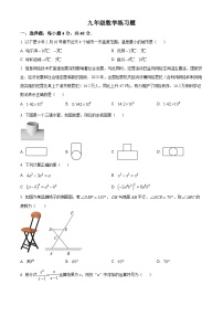 2024年山东省泰安市岱岳区中考一模数学试题（原卷版+解析版）