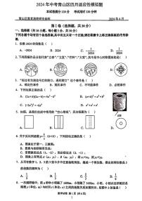 2024年湖北省武汉市青山区中考数学模拟试卷和参考答案