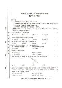 安徽省亳州市涡阳县陈大学区2023--2024学年下学期八年级期中考试数学试题