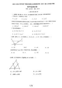 四川省成都市实外西区学校2023-2024学年七年级下学期期中数学试题